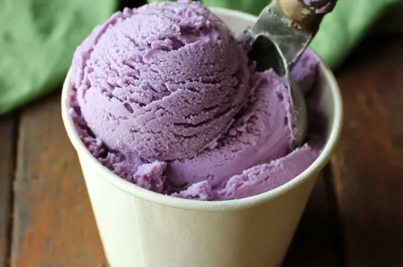 Bowl of homemade blueberry ice cream topped with fresh blueberries