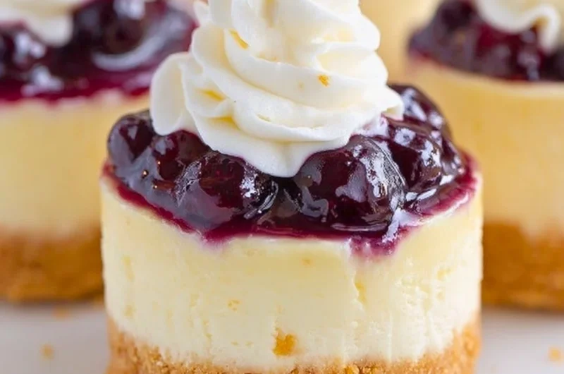 Healthy mini lemon blueberry cheesecakes on a white plate