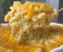 Buffalo Macaroni and Cheese