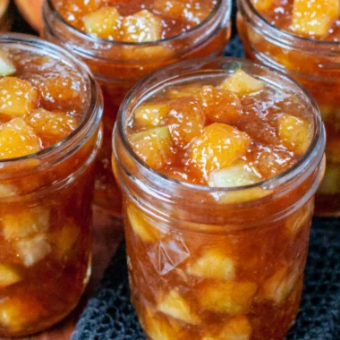 Delicious fall apple preserving recipes for cozy seasonal enjoyments.