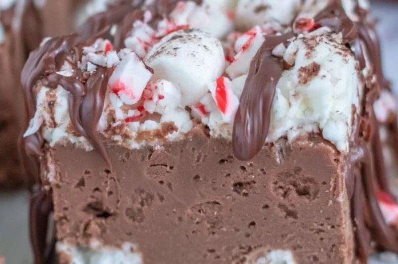 Delicious hot chocolate peppermint fudge for Christmas and winter holidays